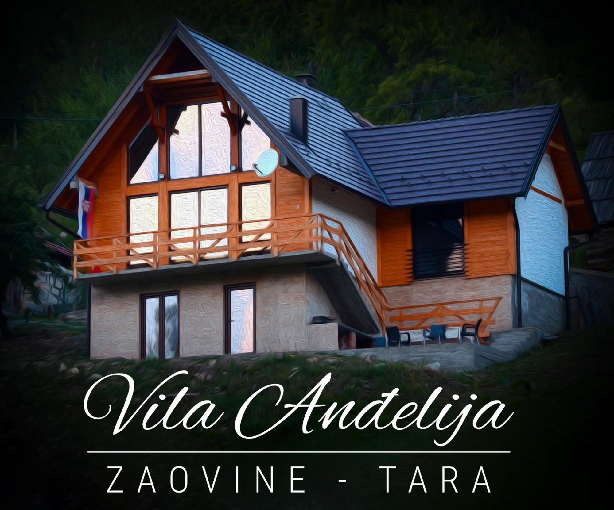 Vila Anthelija Zaovine Villa Lazici Exterior foto